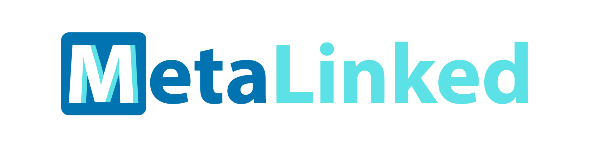 MetaLinked Logo Varieties_LinkedIn Banner copy